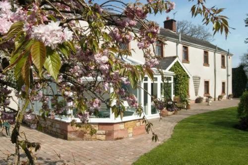 Bessiestown Country Guesthouse Carlisle  Buitenkant foto