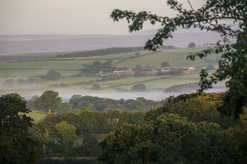 Bessiestown Country Guesthouse Carlisle  Buitenkant foto